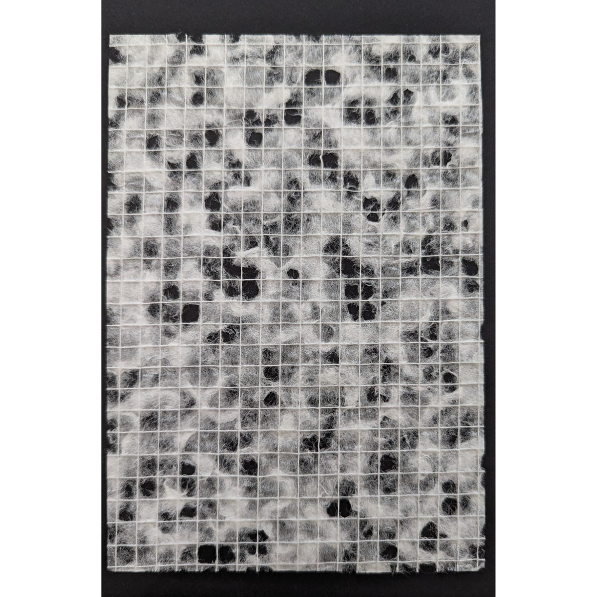 Washi Film — Snow