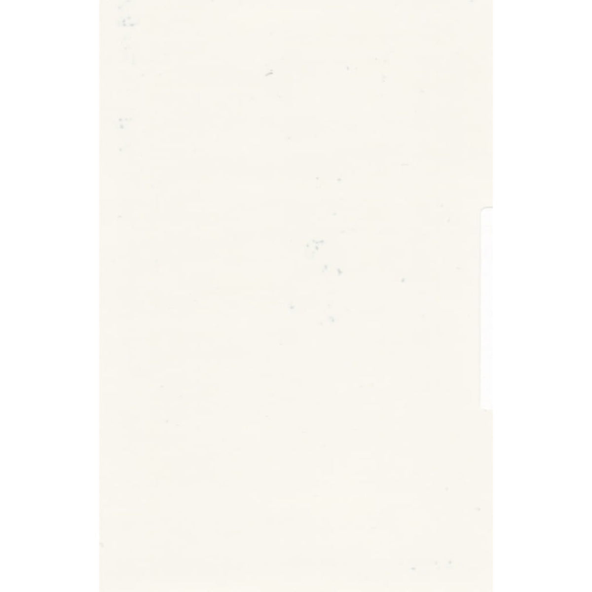 Patent (Smooth): Pearl White — SZC-0026