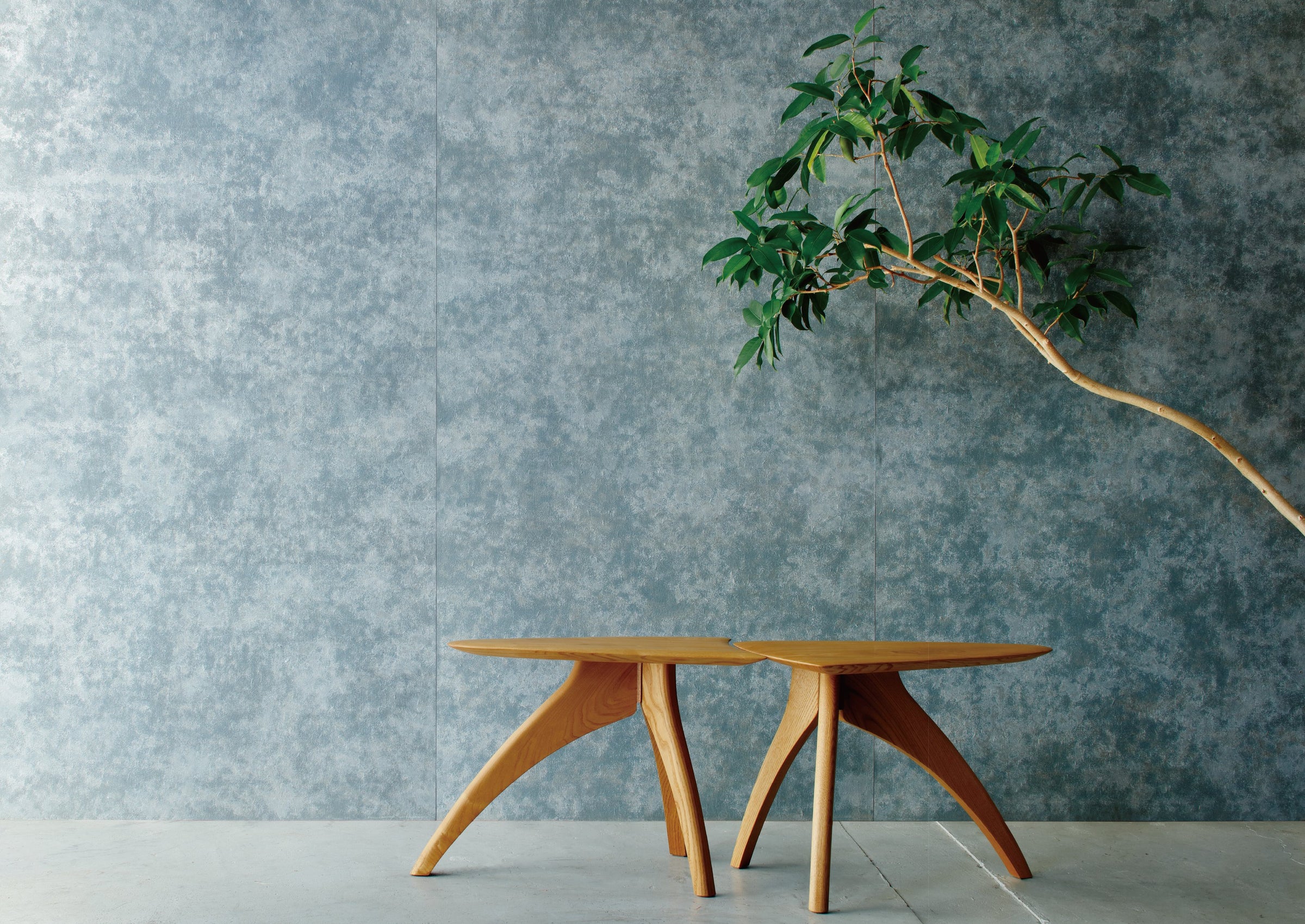 Blue-gray leaf wallcovering behind a low wooden table and a branch of green leaves